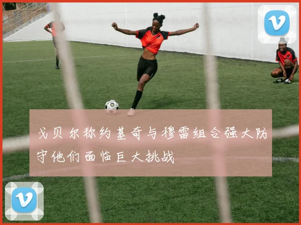 戈贝尔称约基奇与穆雷组合强大防守他们面临巨大挑战