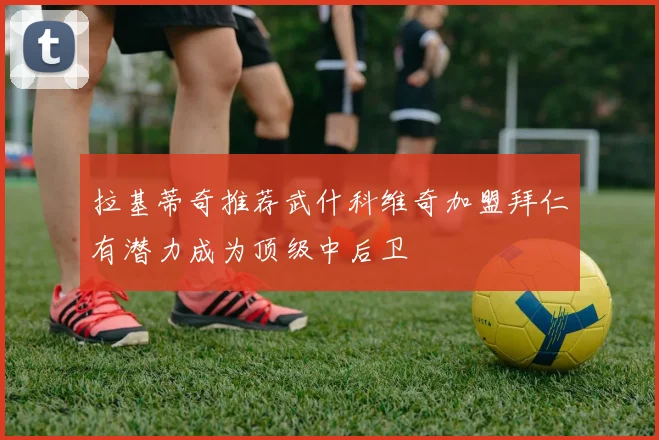 拉基蒂奇推荐武什科维奇加盟拜仁有潜力成为顶级中后卫