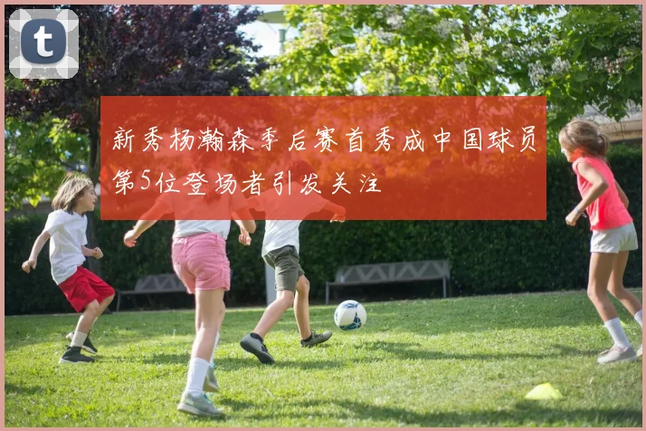 新秀杨瀚森季后赛首秀成中国球员第5位登场者引发关注